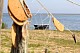 Berzciems
<p>Modern fishing boat by the sea and old fishing equipment on a sunny summer day. Real fishermen life in old fishing villages. <br /></p>
Fishermen / fishing boats / fishing equipment
Daina Varpina